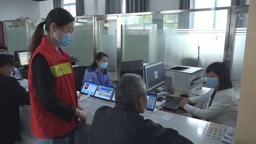 太康县主动服务精准发力，统筹抓好疫情防控和经济社会发展